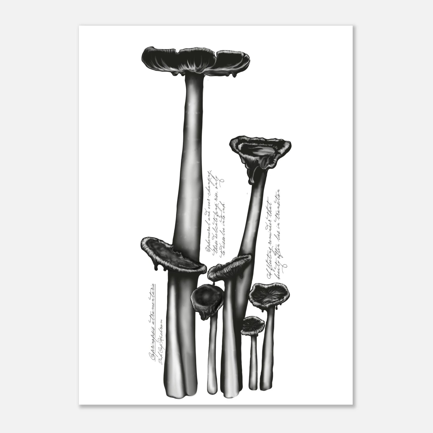 7daaf4b8-17db-40d2-ab43-99c798ca0504