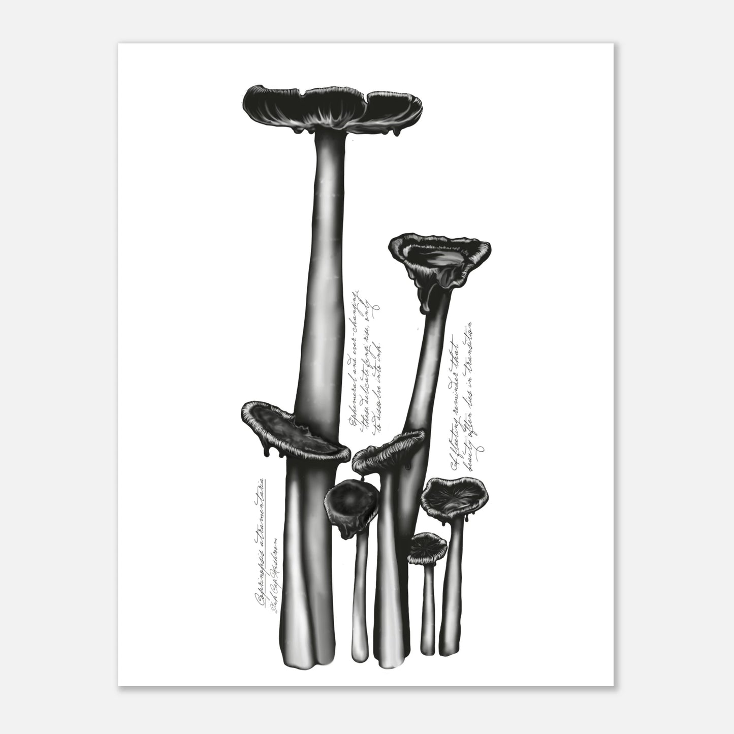 f1b288a0-abd1-4291-8734-18d398468169