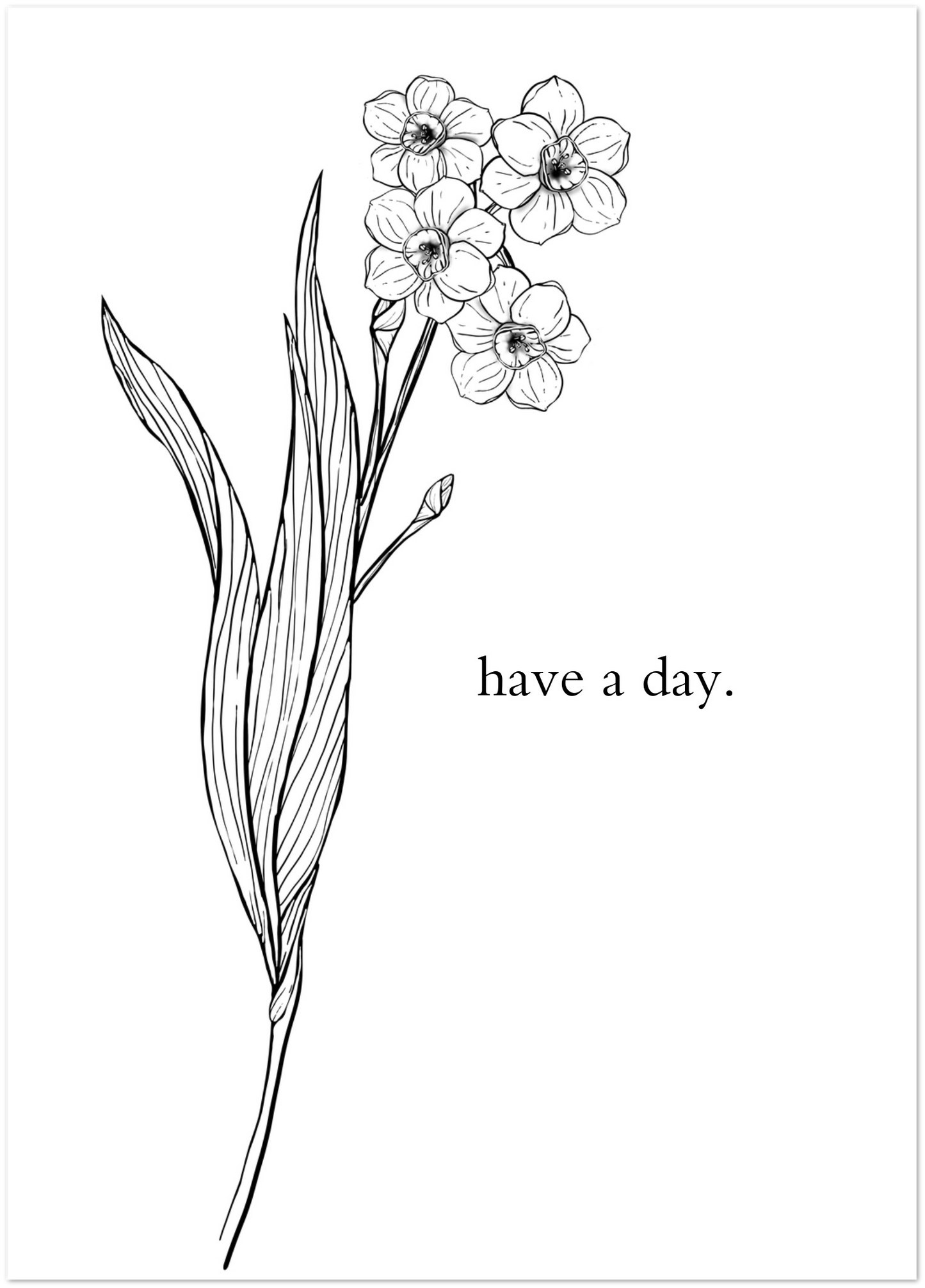 Have A Day greeting cards | pack of 10 - Three in the Trees