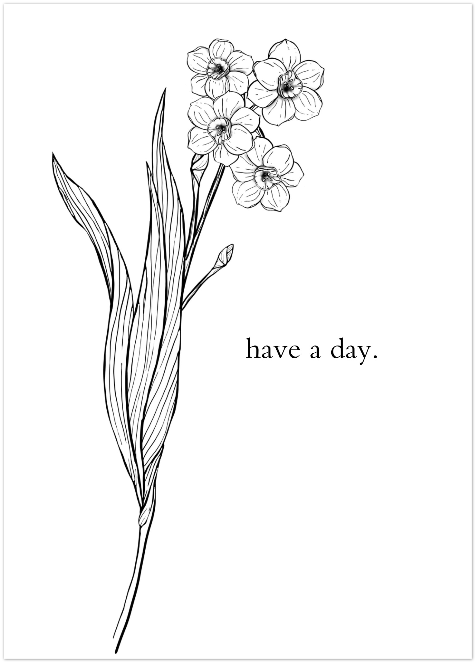 Have A Day greeting cards | pack of 10 - Three in the Trees