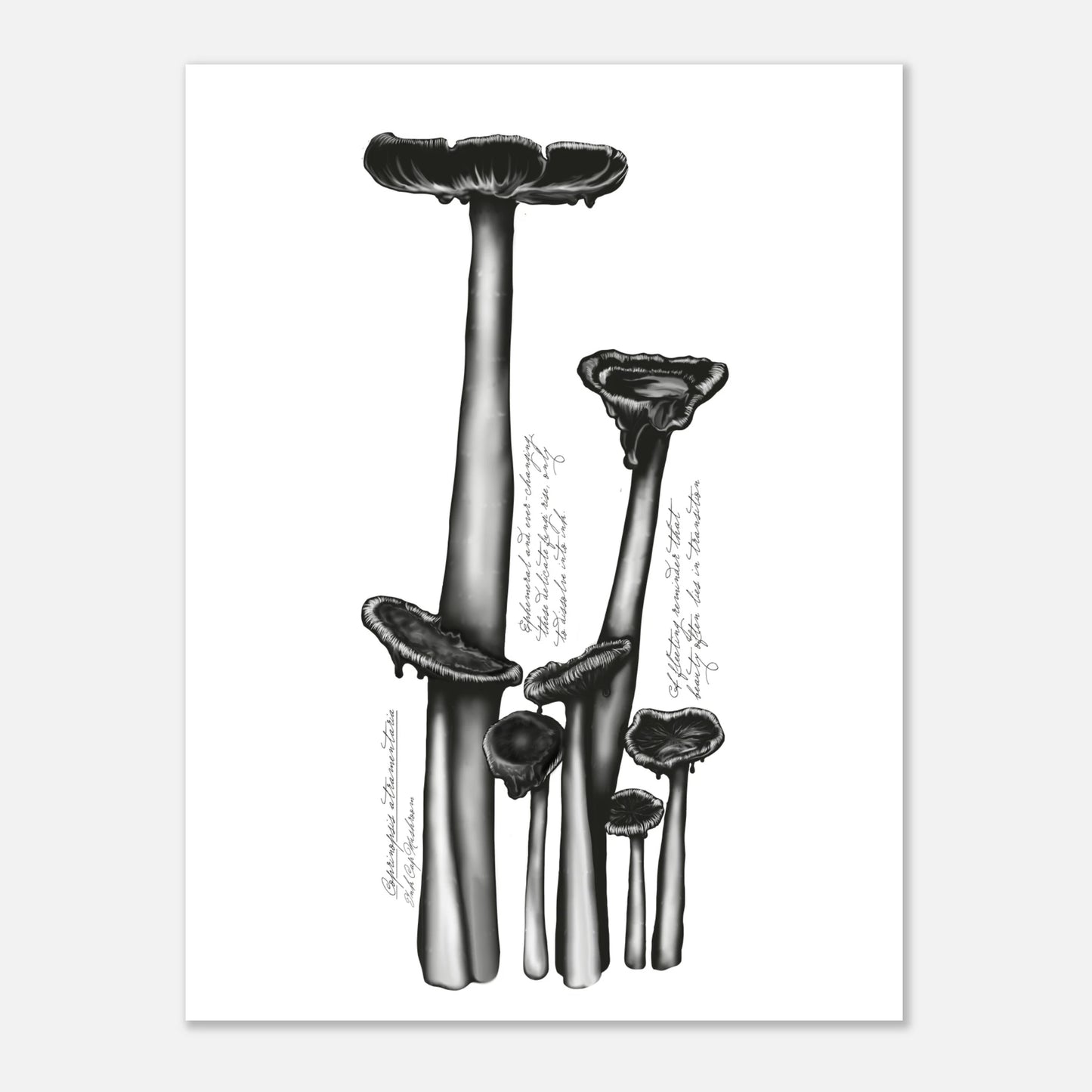 638f335b-bd90-460b-8e29-0acba95e7a88