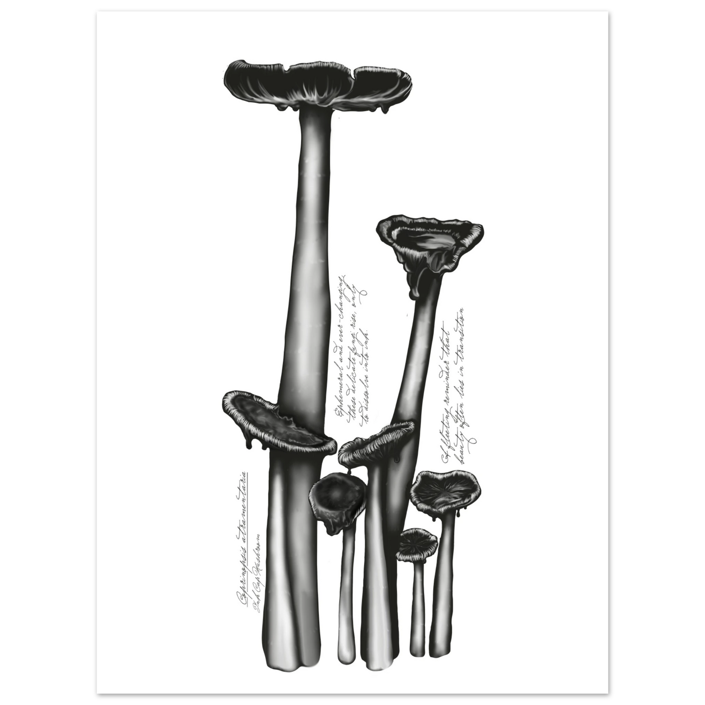 8603cba8-0bbd-4271-a665-8bbd7e022df2