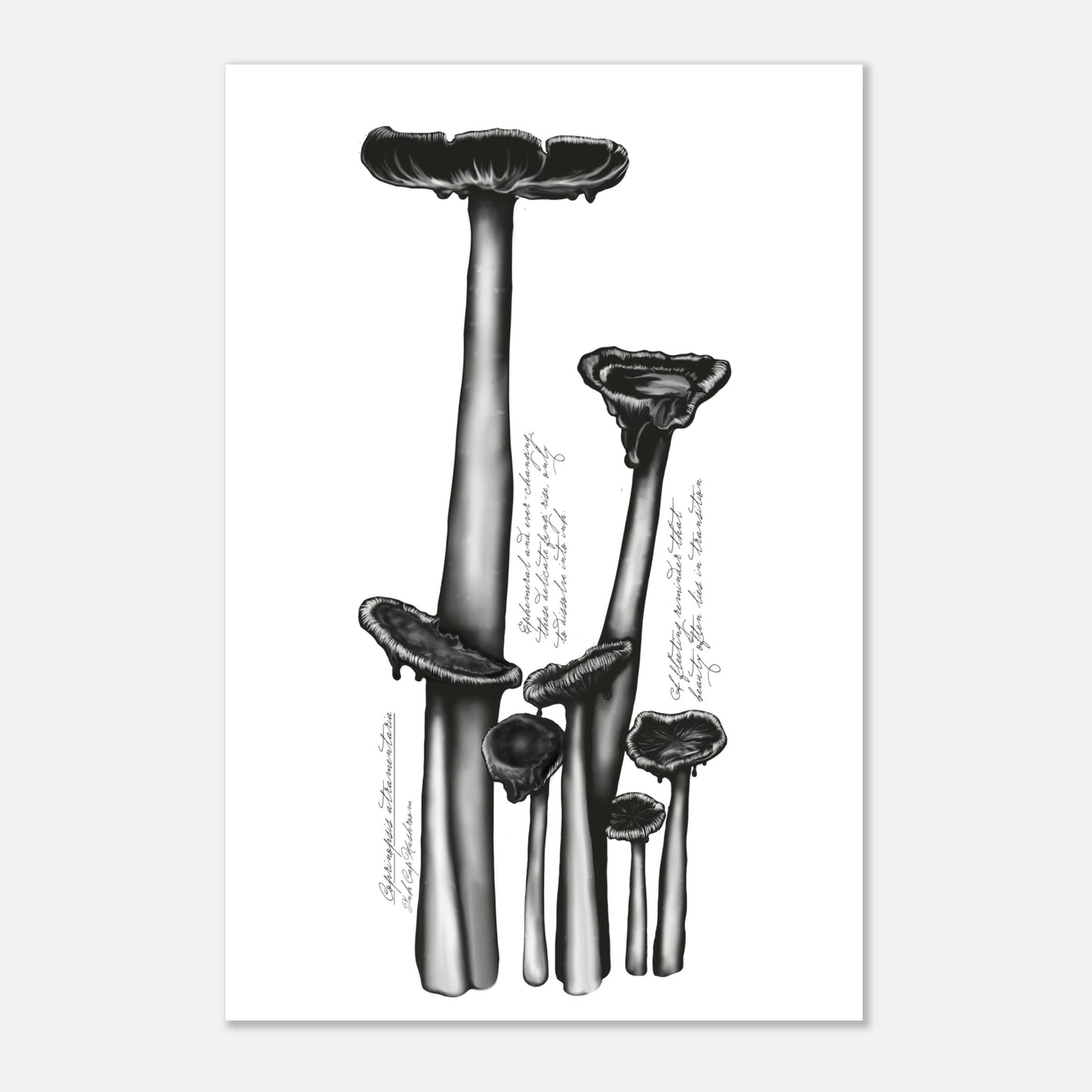 988ab12f-9ed4-407f-bf1c-2c9bbd0296ec