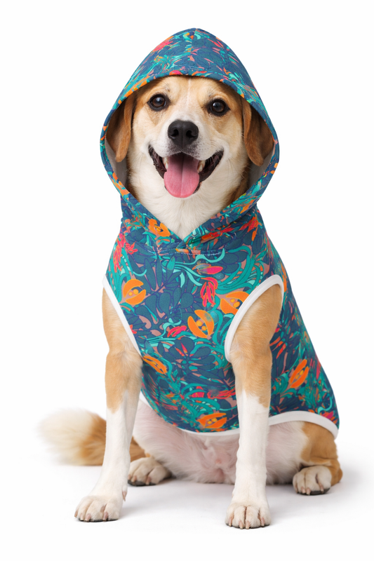 Cleo pet hoodie - Three in the Trees